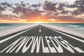 国产车销量排行榜