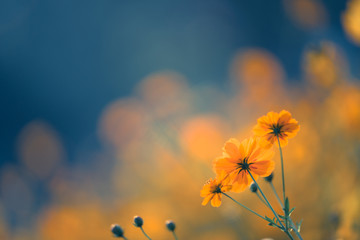 4出排气孔国产车