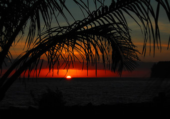 汽车标志唐是什么牌子？