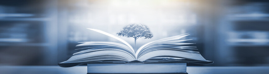 国产车销量排行榜