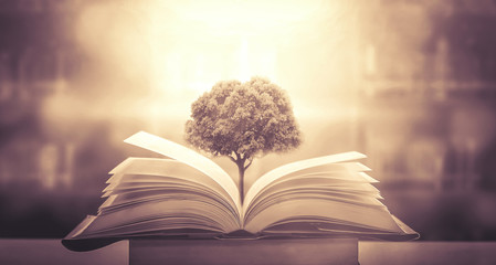 国产车销量排行榜