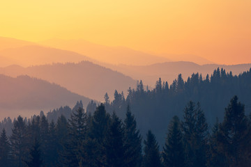 你们觉得奇瑞汽车怎么样？