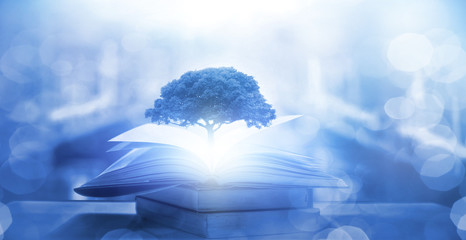 你们觉得奇瑞汽车怎么样？