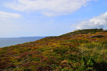 4出排气孔国产车