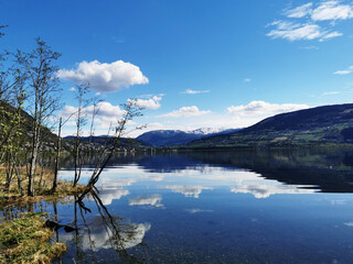 中国十佳运动员名单