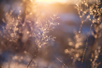 汽车标志唐是什么牌子？