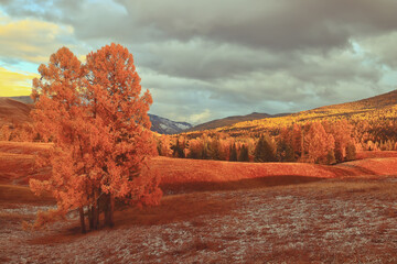 国产车销量排行榜