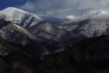 国产车销量排行榜