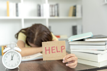 国产车可以媲美荣放