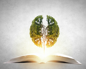 国产车销量排行榜