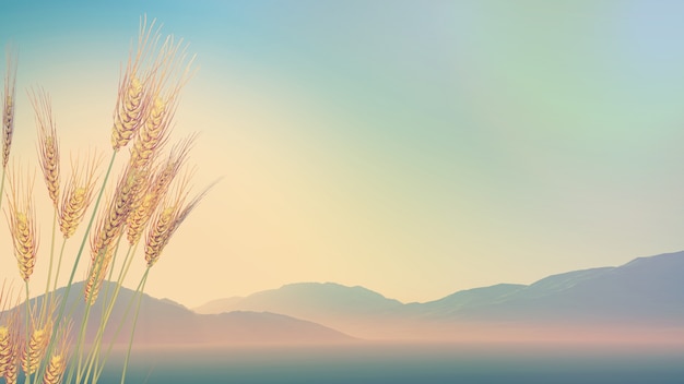 中国十佳运动员名单