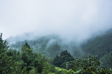 女团比赛中为什么感觉陈梦比不上搭档王曼昱？